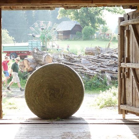 Urlaub Am Bio-Bauernhof Liebchen Villa Zeutschach Luaran gambar