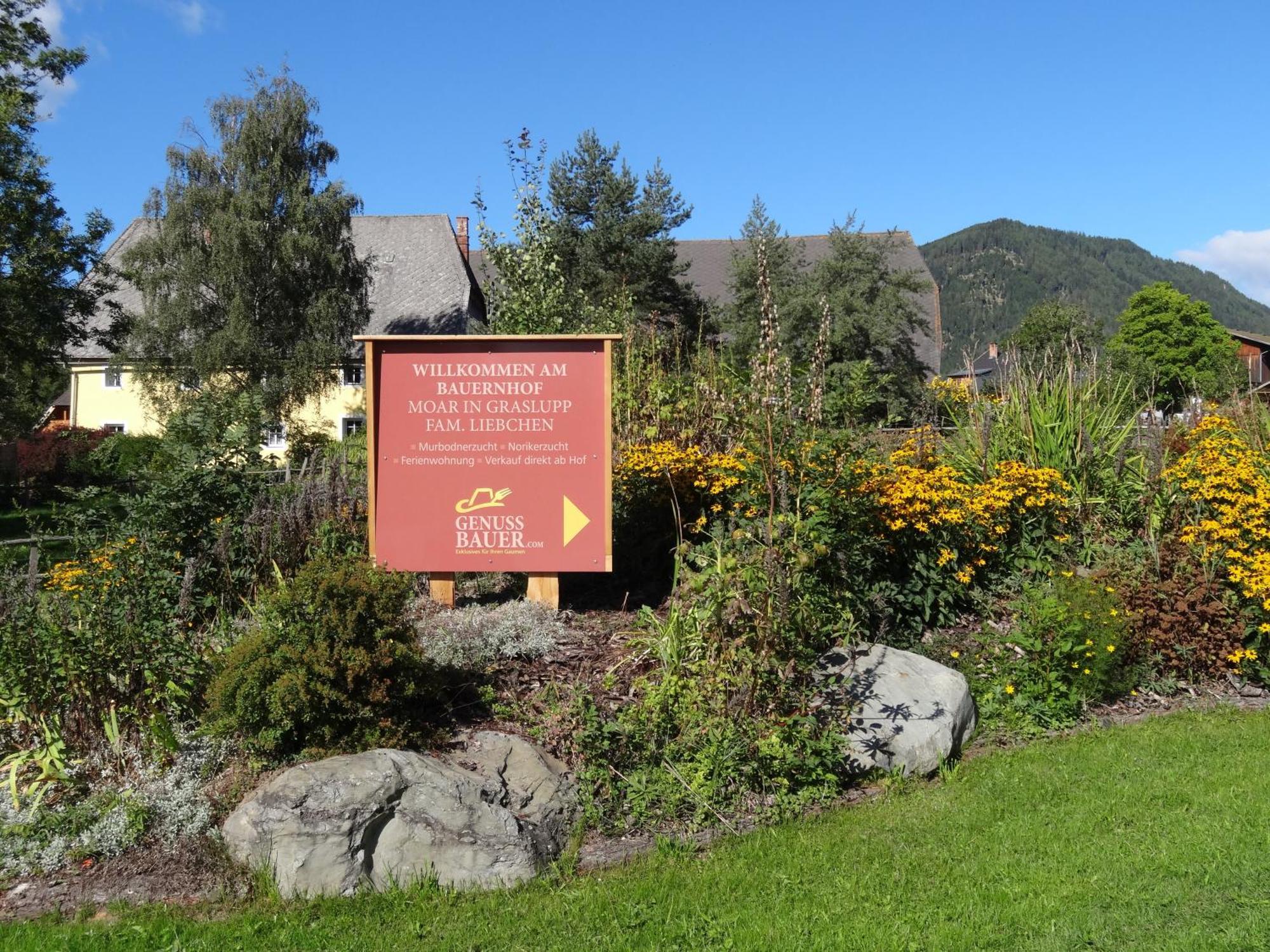 Urlaub Am Bio-Bauernhof Liebchen Villa Zeutschach Luaran gambar