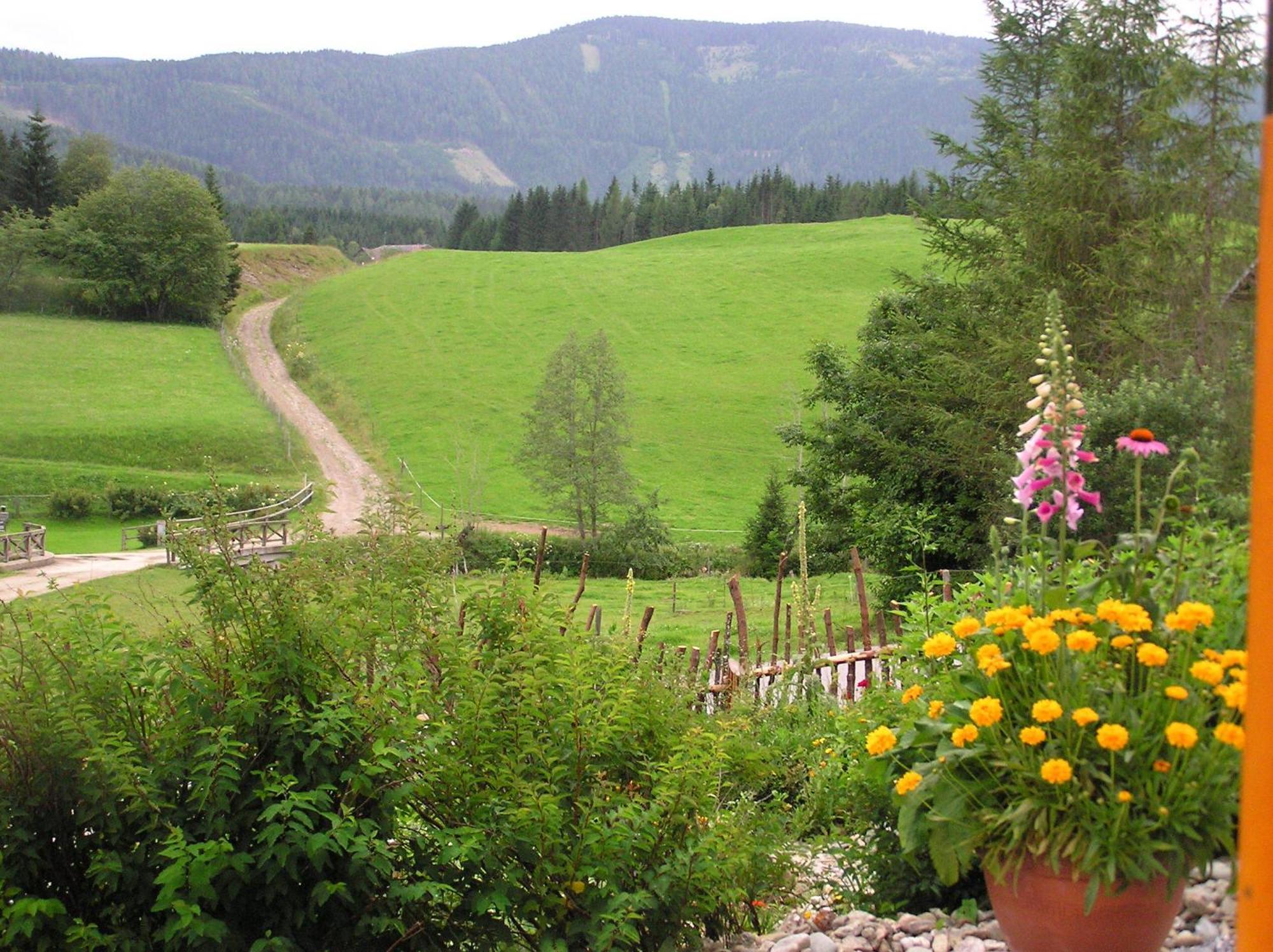 Urlaub Am Bio-Bauernhof Liebchen Villa Zeutschach Luaran gambar