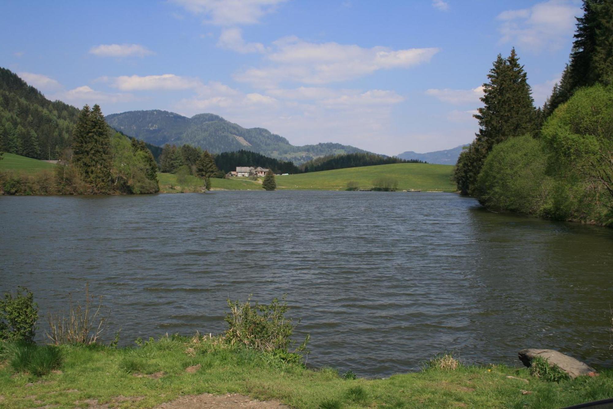 Urlaub Am Bio-Bauernhof Liebchen Villa Zeutschach Luaran gambar