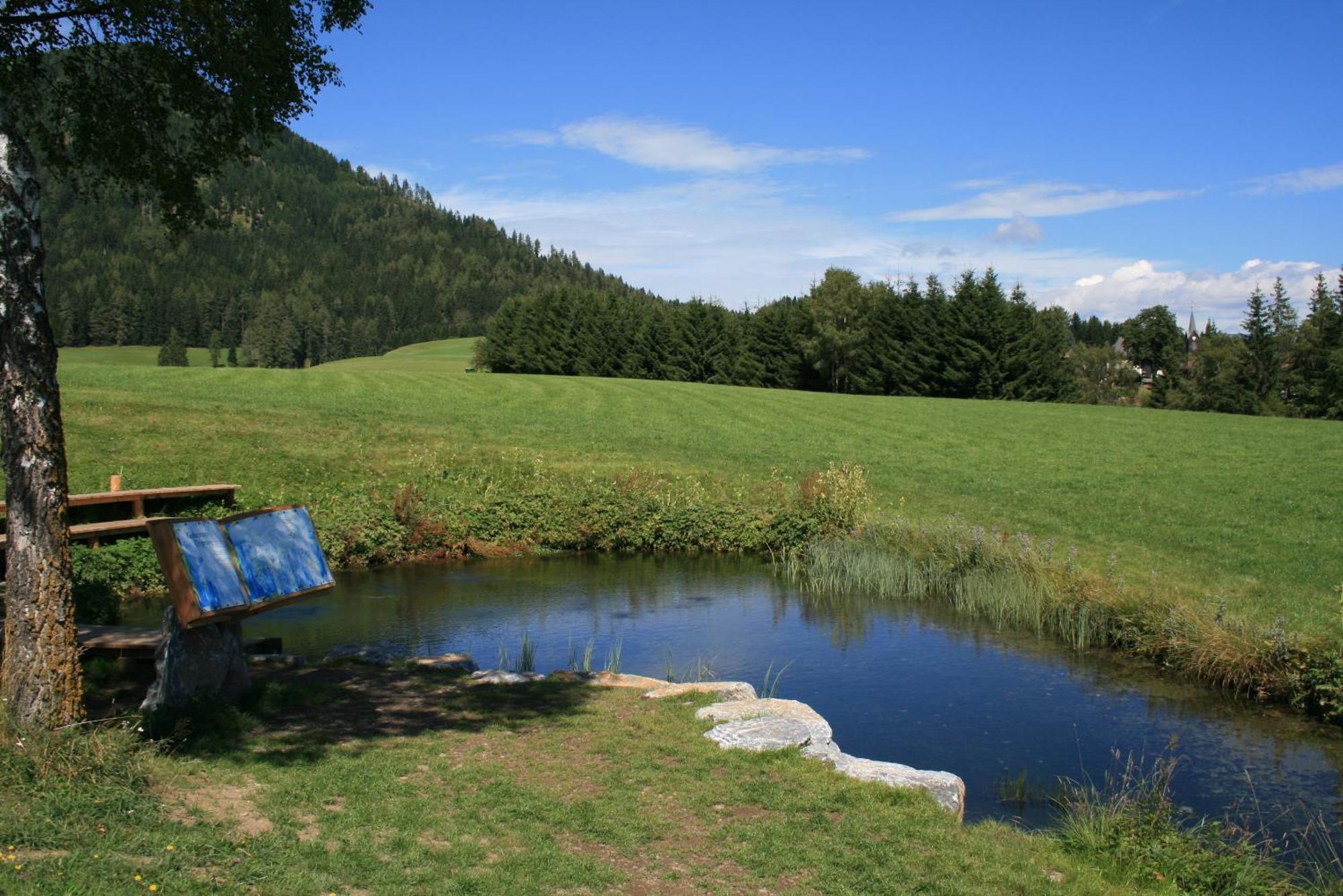 Urlaub Am Bio-Bauernhof Liebchen Villa Zeutschach Luaran gambar